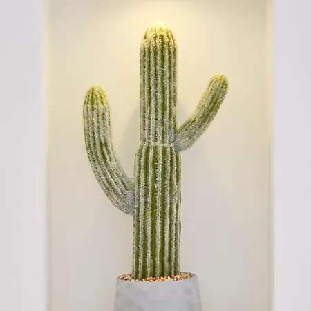 Apartment Avenida Da Liberdade *